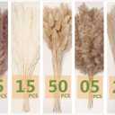 Natural Dried Pampas Grass Decor - 110 Pcs, Contains White Bunny Tails, Artificial Flowers for Bathroom, Office and Baby Shower Decor