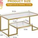 Wolawu Coffee Table Gold Glass Coffee Table for Living Room,2 Tiers Rectangle Center Table with Ribbed Glass Top and Sturdy Metal Frame,Modern Glass Accent Table for Bedroom Home Office, 39.3 x 18.89 x 17.71 inches