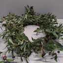 Beautifully Nordic Decorative Wreath Green Olive Wreath Handmade Green Leaves Wreath Wall Hanging Outdoor for Front Door Wall Decor Diverse (B-55cm/22in)