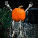 WinnerWhy Set of 4 Pumpkin Arms and Legs, Outdoor Halloween Pumpkin Decor Plastic Bones Skeleton Decoration with Movable Posable Joints for Outdoor Halloween Party Decor