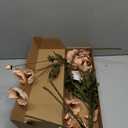 IPOPU Artificial Poppy Silk Flowers 6pcs Poppy Flowers Artificial Realistic Faux Flowers for Vase for Home Decor Indoor for Wedding Centerpieces Bridal Shower Party Decorations, (Champagne)