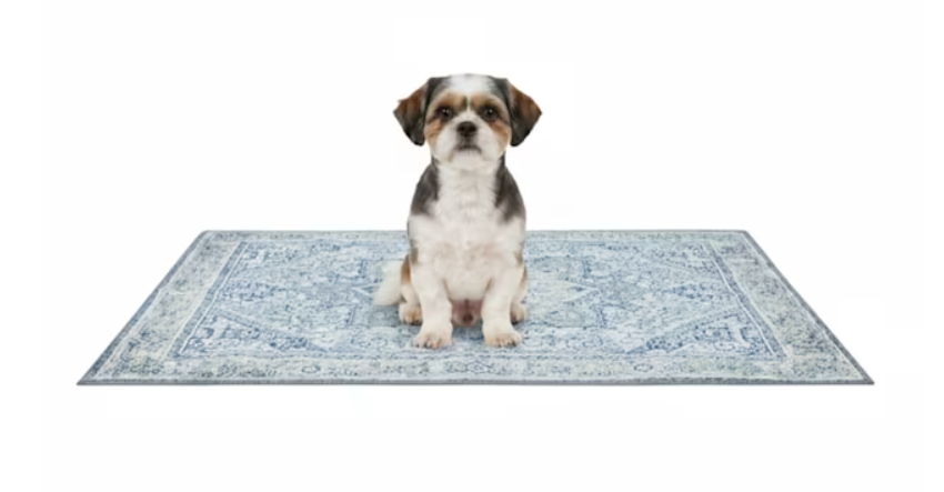 Washable Pee Pads for Dogs, Stylish, Non-Slip and Leak-Proof Pee Pads. Reusable Potty Pads for Dogs for Crates and Floors.(Blue/Multi, 36" x36" ), 2 pcs