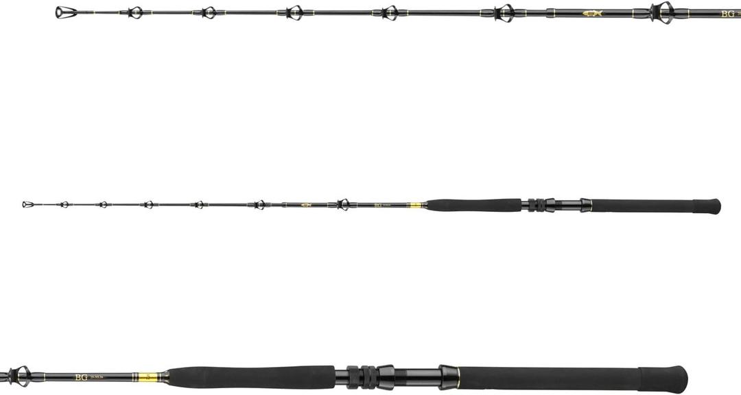 DAIWA BG Big Game, 1.68m, 5.50 Ft, 3 Parts, Progressive Action, Big Game Saltwater Fishing Rod