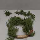 Dingion Norfolk Pine Christmas Wreath for Front Door 11.8 in Christmas Kitchen Cabinet Norfolk Pine Wreath Mini Artificial Farmhouse Rustic Xmas Decor for Window Fireplace Wall Decor