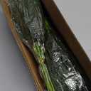 30 Pcs Realistic Pine Branches, Natural Droopy,Soft Bendable Stems, Lifelike Cedar for Vases, Wreaths,Garland Christmas Decorations, Thanksgiving Table Decor