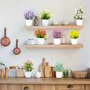 LELEE Artificial Plants Mini Fake Potted Plants, 8 pcs Small Eucalyptus Potted Faux Decorative Grass Plant with Flower for Home Decor, Indoor, Office, Desk, Shelf, Table Decoration