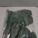 Real Eucalyptus Stems 20PCS Dried Preserved Fresh Eucalyptus Silver Dollar Leaves for Shower - Greenery Branches for Wedding Home Party Vase Filler Spring Decor