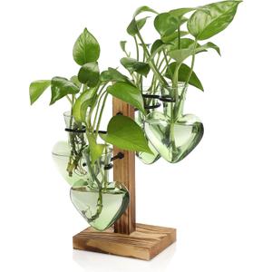 Plant Terrarium Propagation Stations with Wooden Stand, Glass Vase for Indoor Hydroponics Home Garden Office Decoration Gift for Women - 4 Love Bulb Vase (Green)