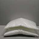 MIULEE Set of 2 Throw Pillow Inserts 20x20 Inches, Nowoven Decorative Pillow Inserts for Living Room