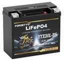 Lithium YTX20L-BS, 800A LiFePO4 Motorcycle Battery, 12V 10AH ATV, UTV, Jet Ski, 4 Wheeler,Snowmobile,Tractor,Generator and Riding Lawn Mower Battery