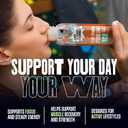 Not Rocket Science Plant-Based Protein Shake Ready to Drink - 19g Plant Protein, No Artificial Flavor or Sweetener, Dairy-Free, 9.40 fl oz, Combo 6-Pack, Gazpacho,Spiced Chai & Green Refresh
