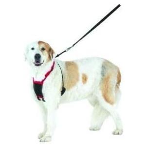 Sporn Harness Color: Blue Size: Large