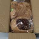 Capybara Plush with Turtle Backpack, Kawaii Capybara Doll Stuffed Birthday Gifts Party Decoration, Cute Plush Toy for Girls Cartoon Fans