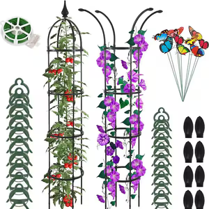 6.6 ft. Metal Obelisk Trellis for Climbing Plants with Twist Tie, Clips, and Butterflies