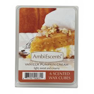 Vanilla Pumpkin Cream 2Pack