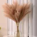 Faux Pampas Grass, 9 PCS 37''/3.1FT Tall Fluffy Fake Pompas Floral, Large Artificial Pompous Grass Branches for Floor Vase Fillers, Boho Farmhouse Room Wedding Decor (Taupe)