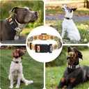 Seyezo Dog Collar, Classical Indian Spirit Boys Girls Puppy Collar for Small Medium Large Dogs, Adjustable Soft Indian Pet Collar with Safety Buckle for Male Females(Beige,XL)