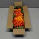 3Pcs Orange Artificial Dahlia Flowers 29.5" Fake Flower Silk Flowers with Long Stem Floral Arrangements Bouquets Faux Dahlias Flowers for DIY Wedding Party Centerpieces Decor Home Office Decoration