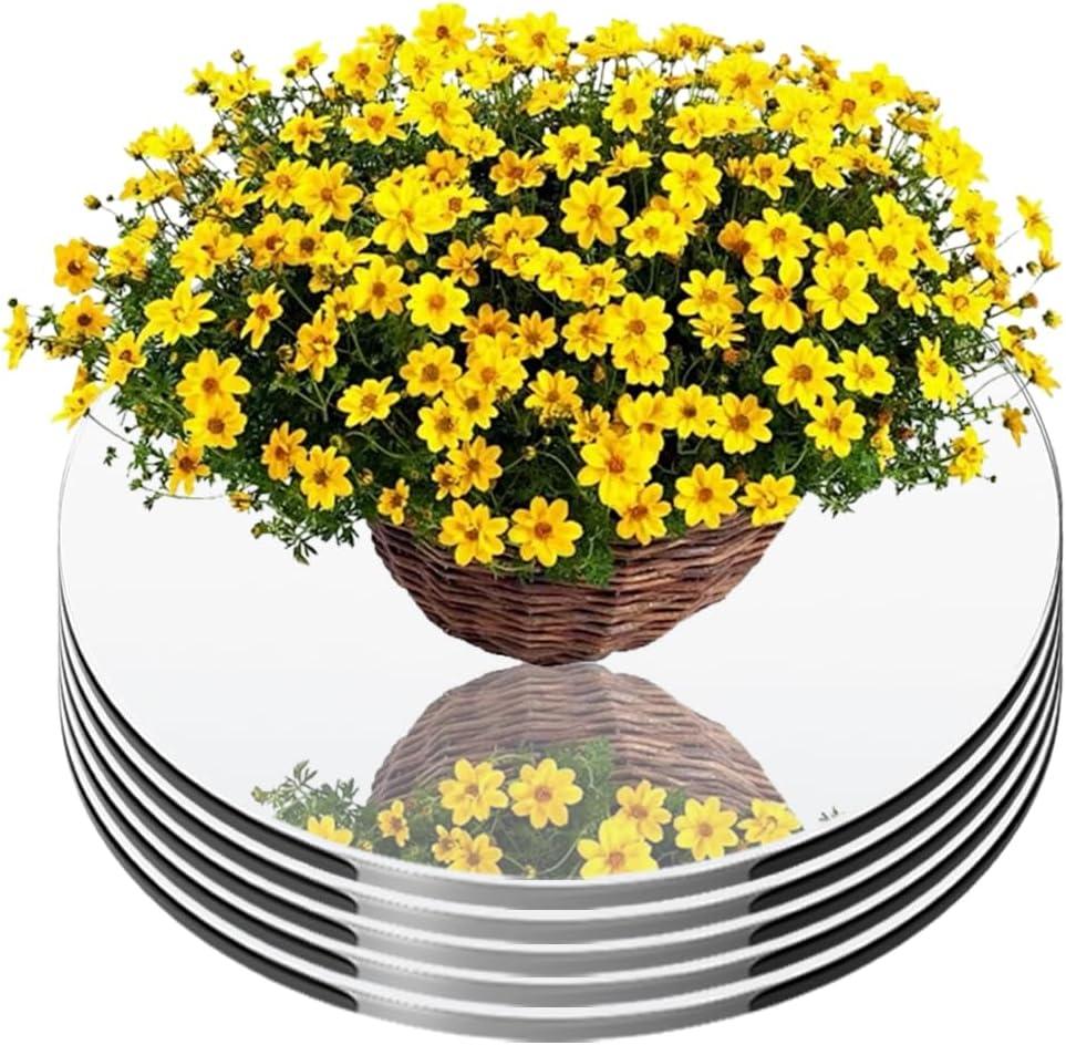 Round Mirror for Centerpieces 5PCS Acrylic Circle Wall Mounted Mirrors Candle Plate Mirror Tray for Craft DIY Birthday, Wedding, Anniversary Festival Table Centerpieces Decorations (10inch/25cm)