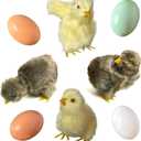 Realistic Furry Baby Chicks Easter Eggs Decor Set - Lifelike Spring Chickies Tabletop Decorations, Farmhouse Photo Props, Basket Fillers, Lifelike Plush Chickens Home Ornaments (8)