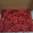 Red Hydrangea Artificial Flowers Bulk, 40 Pcs Faux Hydrangea Flowers Heads, Artificial Fake Silk Hydrangea Flowers with Stems, Red Flowers Artificial for Decoration Wedding Dcor