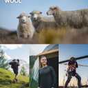 DANISH ENDURANCE Merino Wool Hiking Crew Socks for Men & Women, Cushioned Anti-Blister, Breathable - 3 Pairs (Large, Multicolor (1xcozy Navy, 1xcozy Red, 1xcozy Light Grey))