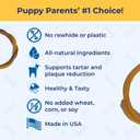 N-Bone Puppy Teething Rings Taste of Texas Queso Con Carne Flavor 3 Count (EXP 06/03/27)