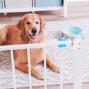 Carlson 29.536.5 Extra Wide Dog Gate with Small Pet Door, Walk-Through Pressure Mounted Metal Indoor Pet Safety Gate, Tested and Trusted by Pet Parents, American Designed, American Owned