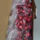Joyhalo Red Berry Garland - 8.9 FT Christmas Cranberry Garland for Christmas Tree, Winter Holly Berries for Decorating Mantle Xmas Tree Window Door Indoor Outdoor Holiday Decoration (1 Pack)