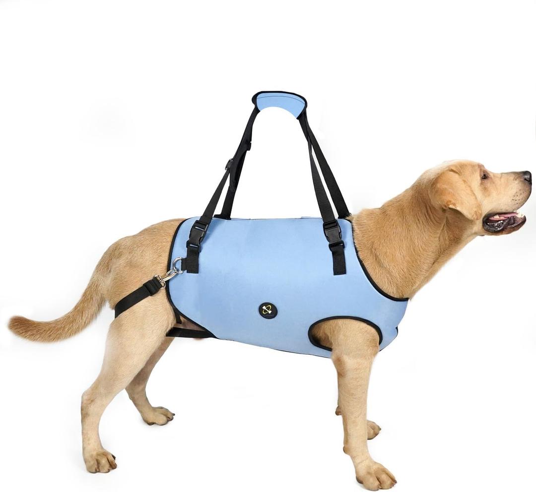 Coodeo Dog Lift Harness, Pet Support & Rehabilitation Sling Lift Adjustable Padded Breathable Straps for Old, Disabled, Joint Injuries, Arthritis, Loss of Stability Dogs Walk (Blue, M)