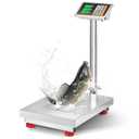 Bonvoisin Digital Platform Scale with Stainless Steel Platform 660LBs Heavy Duty Warehouse Floor Scale for Weighing Packages, Luggage, Suitcases, Boxes (20.4 X 16.5 Platform)