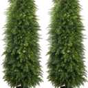 2 Pack 5ft Artificial Cedar Topiary Trees, Outdoor Artificial Plants for Front Porch Dcor, Artificial Shrubs Fake Plants Uv Rated Potted Plants for Outdoor, Indoor, Front Door, Office