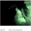 LP You Never End (Vinyl)
