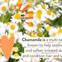 Babo Botanicals Sensitive Baby Fragrance-Free Newborn Foam Wash - Gentle Formula - Oat, Shea & Cocoa Butter - EWG Verified - Vegan - from Birth on