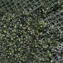 Bybeton Artificial Grass Wall Panel,10"x 10"(12Pcs) Boxwood Faux Green Wall Panels for Interior Wall, Backdrop Wall,Garden Wall and Indoor Outdoor Plant Wall Decor