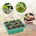 5pcs 60 Cells Seed Starter Tray with Grow Light Indoor Seeds Starter Kit with Lid Plastic Planting Trays Mini Greenhouse Garden