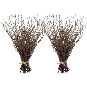 Uieke 100PCS Natural Dried Birch Twigs - 17 Inch Dried Plants Decorative Branches for DIY Crafts, Sticks for Vases Wedding Arrangements Home Wreath Decor (Birch-2 Bundle)