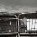 36'' Professional Dog Pet Grooming Table Adjustable Height Heavy Duty Portable Trimming Table with Arm/Noose/Mesh Tray, Maximum Capacity Up to 300 LBS, Black