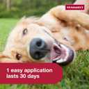 K9 Advantix II Large Dog Vet-Recommended Flea, Tick & Mosquito Treatment & Prevention | Dogs 21-55 lbs. | 2-Mo Supply 