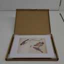 11x14 Picture Frame, Gold Metal Photo Frames with HD Glass, Fits 8x10 with Mat or 11 x 14 without Mat, Display for Wall and Table, 1 Pack