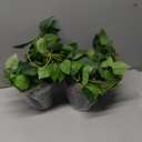 Artificial Pothos Hanging Plants 2 Pack with Pots, Realistic Fake Hanging Plants Indoor, Faux Greenery Vines for Shelf, Bathroom, Living Room, Office Decor