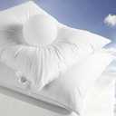 Luxury Canadian White Goose Down Pillows Queen Size Set of 2-900+ Fill Power, Soft Down Pillow for Sleeping, Fluffy Hotel Bed Pillows for Neck Pain Relief, Side Sleeper Pillow - 20"x30"