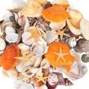 WEOXPR Mixed Sea Shells, 150+ Pcs Beach Seashells Starfish, Various Sizes Ocean Seashells for Fish Tank Vase Fillers, Beach Theme Party Wedding Decor, Candle Making, DIY Crafts