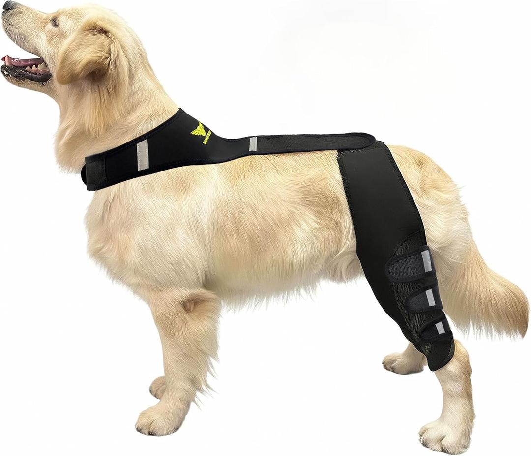 Dog Knee Brace for Torn ACL Hind Leg - Professional Recovery Support, Patented Double Strap System & Flexible Splints Stabilize Joint, Promotes Healing & Mobility (XL) 65-110LB