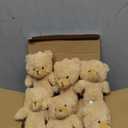 Zhanmai Set of 12 Mini Plush Smile Pocket Bears Gift Little Card Organza Bags for Funeral Memorial Baby Shower Birthday Graduation Party Favors