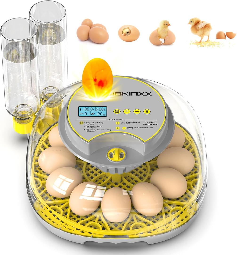 Incubator for Hatching Eggs-12 Egg Capacity, Automatic Egg Turner, Temperature & Humidity Control, 360 Viewing for Chicken, Duck and Quail Eggs (Clear)