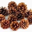 Natural Bulk Christmas Pine Cones for Home Party Decorations,Christmas Tree Fall Ornaments-30Pack