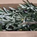6FT Artificial Olive Tree with Realistic Leaves & Natural Trunk, Faux Silk Olive Plant in White Planter, Tall Fake Tree for Modern Home Office Living Room Entryway Corner Decor, Maintenance Free
