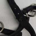 Weaver Leather Heavy-Duty Restraint Halter (Medium, Black)