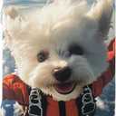 Luggage Covers For Suitcase Tsa Approved,Suitcase Cover Protector Fit 22-24 Inch,Washable Elastic Stretchy Anti-scratch Luggage Sleeve (FLYDOG)